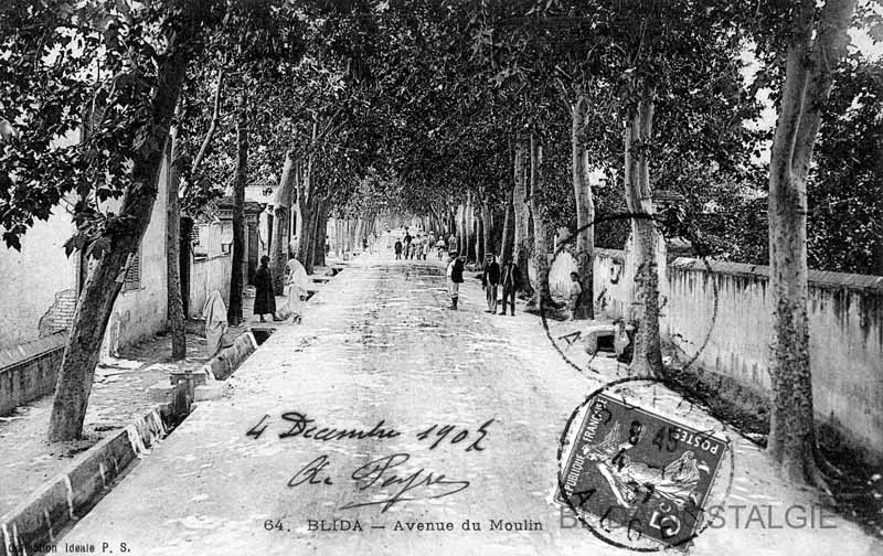 avenue des moulins (25a).jpg